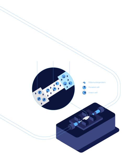 Kytopen transfection
